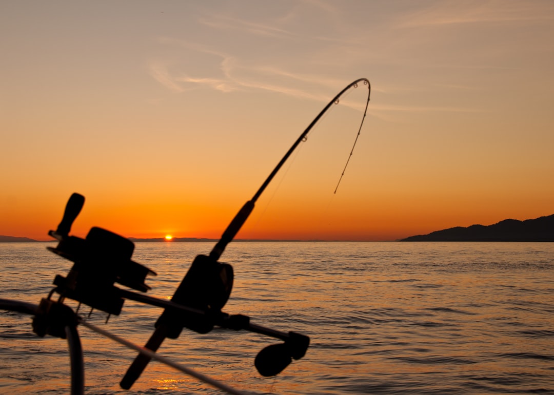 Photo by James Wheeler black fishing rod and body of water during golden hour