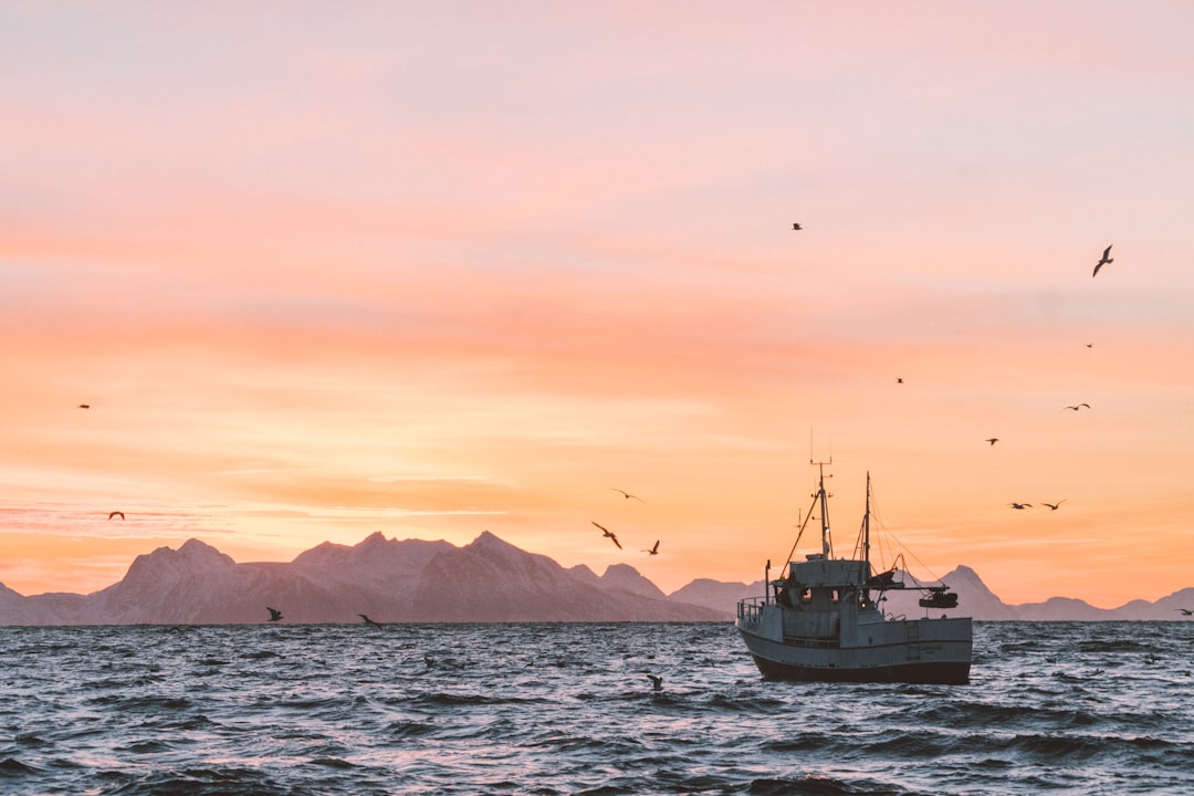 Photo by Knut Troim white sailboat in body of water during sunset