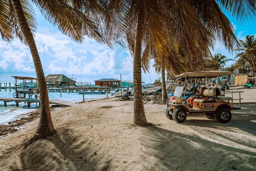 Photo by Meritt Thomas white and black auto rickshaw near beach during daytime