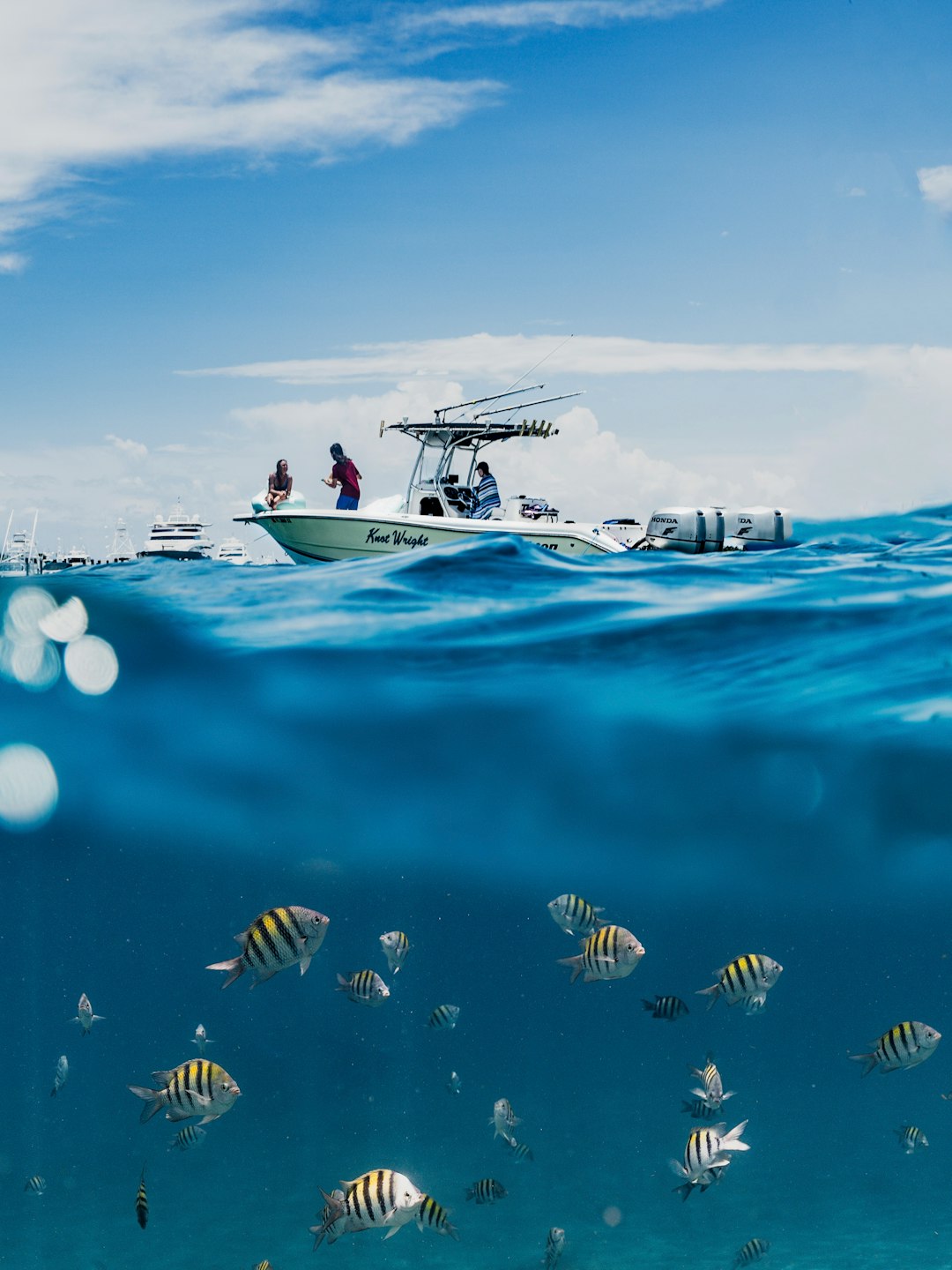 Photo by Chase Baker white and blue boat on sea during daytime