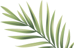 leaf 2